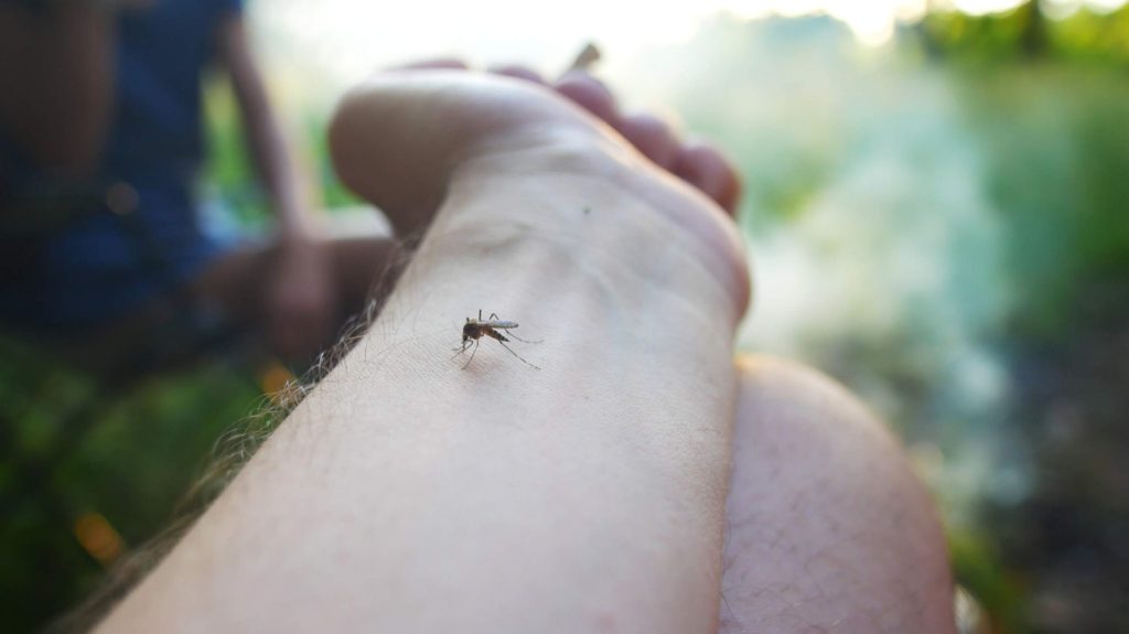 Protect against mosquito and tick infections with Aroga Pharmacy advice
